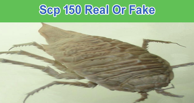 Scp 150 Real Or Fake (Oct 2022) Reveal The Facts!